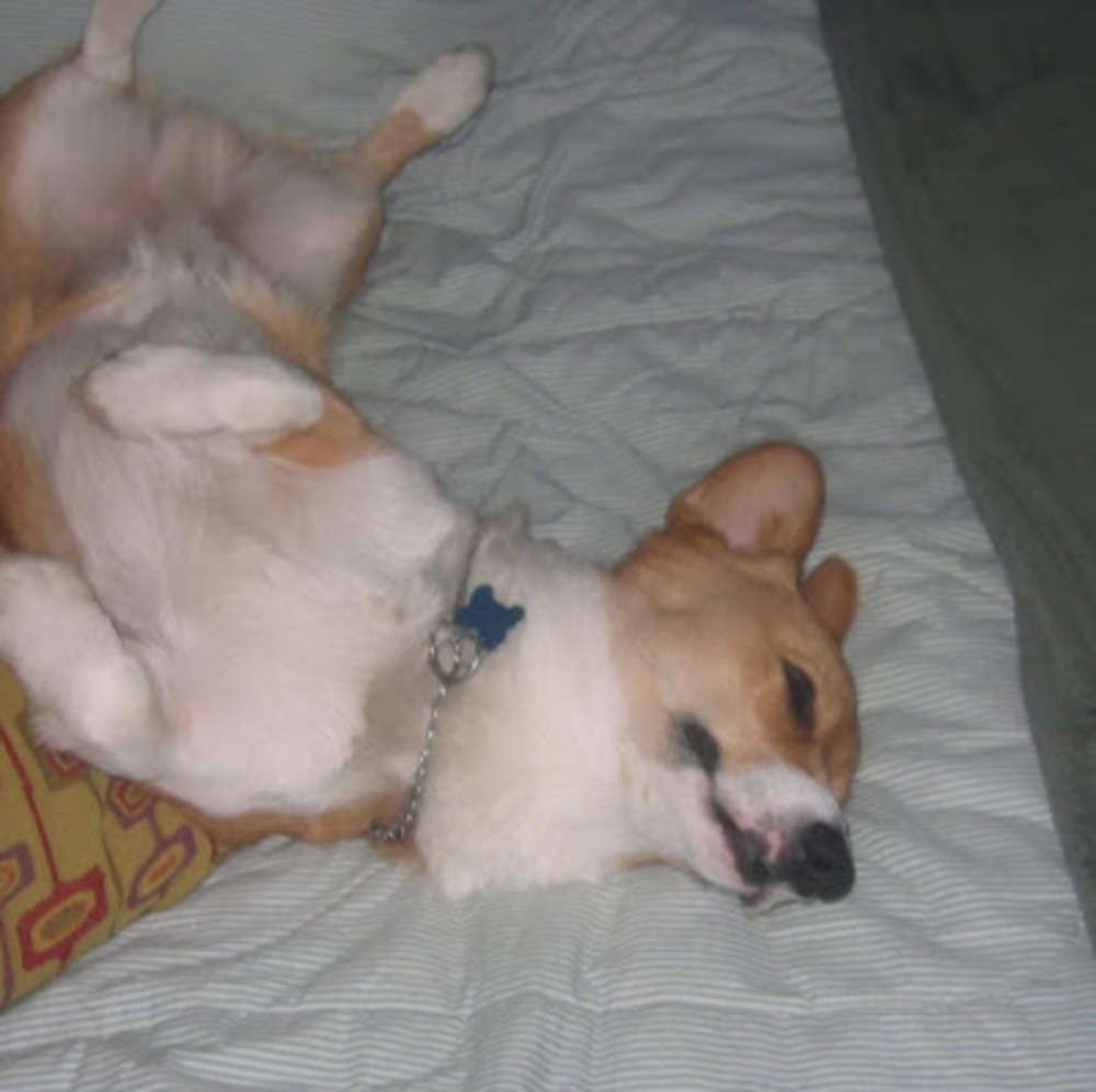 Meet your Posher, Megan